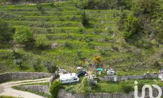 Terrain  22000 m² à vendre à Pierrefeu (06910)