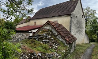 Photo N° 6