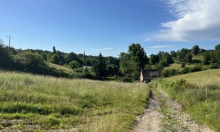 Photo N° 3