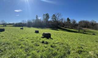 Terrain  1039 m² à vendre à Meyssac (19500)