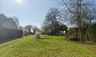 Photo N° 3