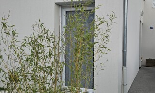 Photo N° 8