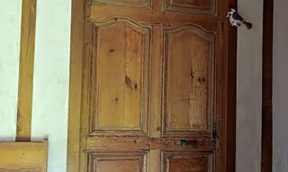 Photo N° 9