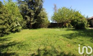 Photo N° 4