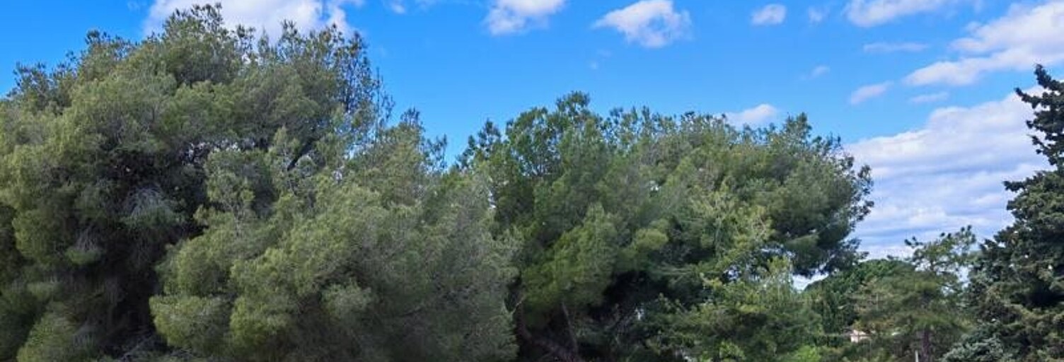 Appartement 1 Pièce 20 m² à vendre à Balaruc-les-Bains (34540)