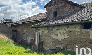 Photo N° 5
