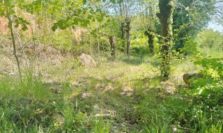 Photo N° 3