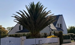 Maison 7 Pièces 181 m² à vendre à Plouhinec (56680)