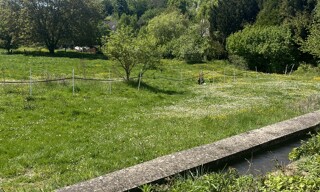 Photo N° 3