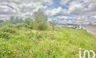 Photo N° 6