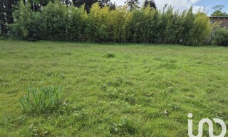 Photo N° 4