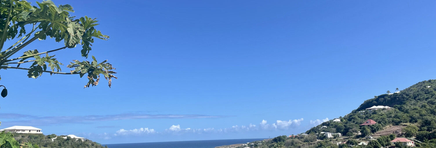 Maison 15 Pièces 370 m² à vendre à Saint-Barthélemy (70270)