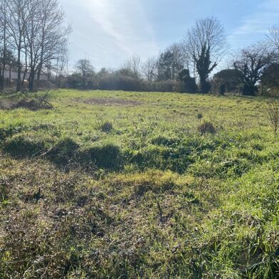 Terrain  50000 €