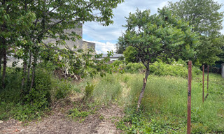 Photo N° 4