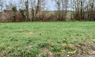 Terrain  700 m² à vendre à Bourg (33710)