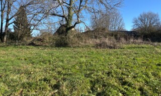 Photo N° 4