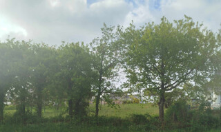 Photo N° 5
