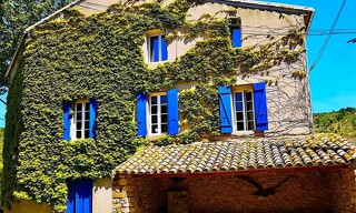 Photo N° 2