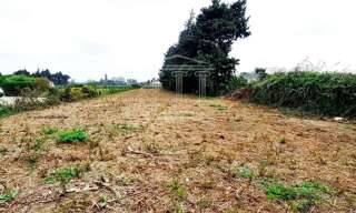 Terrain  1623 m² à vendre à Jonquerettes (84450)