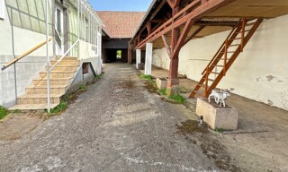 Photo N° 8