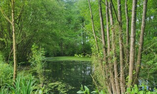 Photo N° 2