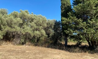 Terrain  385 m² à vendre à La Ciotat (13600)