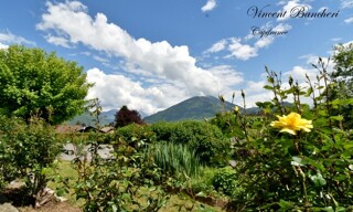 Photo N° 2