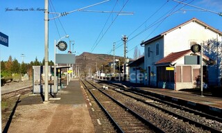 Photo N° 6