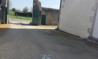 Photo N° 8