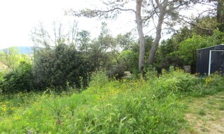 Photo N° 6