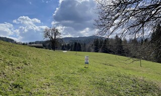 Photo N° 4