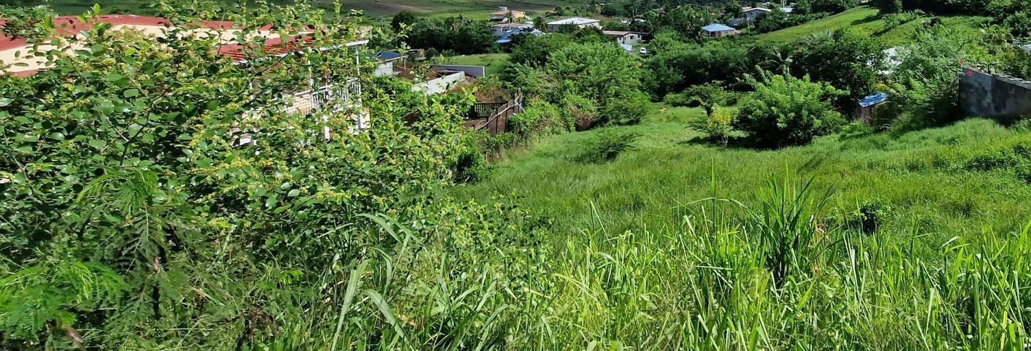 Terrain  1166 m² à vendre à Le Vauclin (97280)