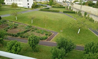 Photo N° 6