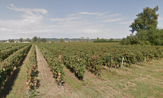 Photo N° 5