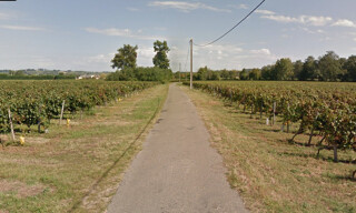 Photo N° 6