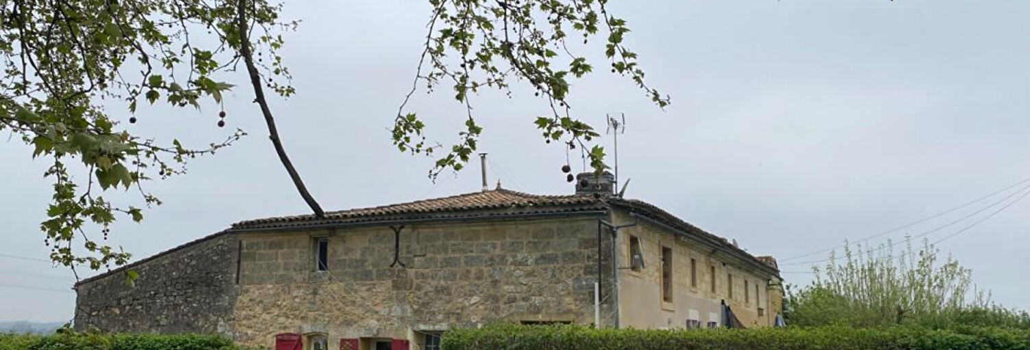 Maison 8 Pièces 313 m² à vendre à Saint-Magne-de-Castillon (33350)