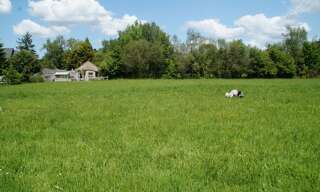 Terrain  2096 m² à vendre à Taupont (56800)