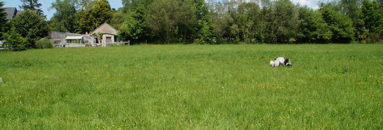 Terrain  2096 m² à vendre à Taupont (56800)