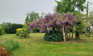 Photo N° 3
