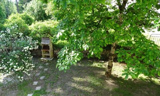 Photo N° 4