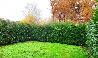 Photo N° 6