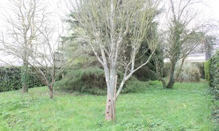 Photo N° 6