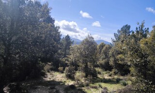 Terrain  2235 m² à vendre à Quenza (20122)