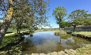 Photo N° 4