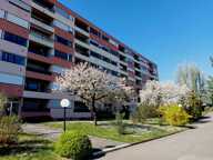 T2 — photo 2