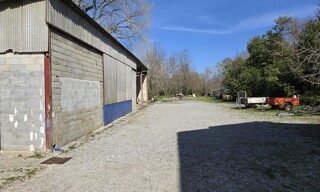 Photo N° 4