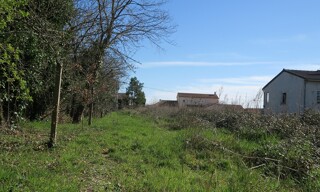 Photo N° 4