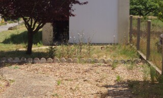 Photo N° 8