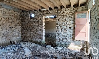 Photo N° 5