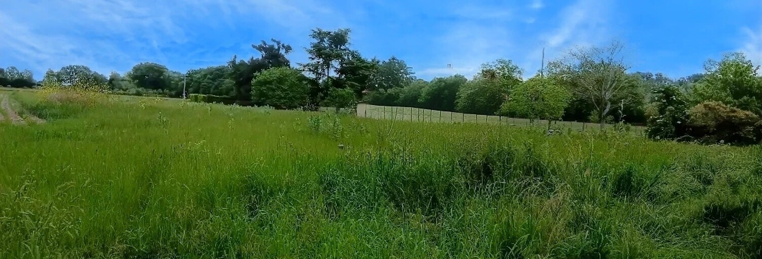 Terrain  4623 m² à vendre à Aureilhan (65800)